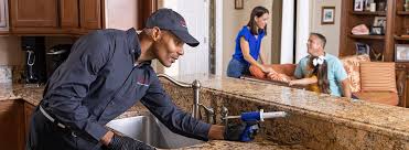 Best Termite Inspection and Treatment  in Rockvale, TN